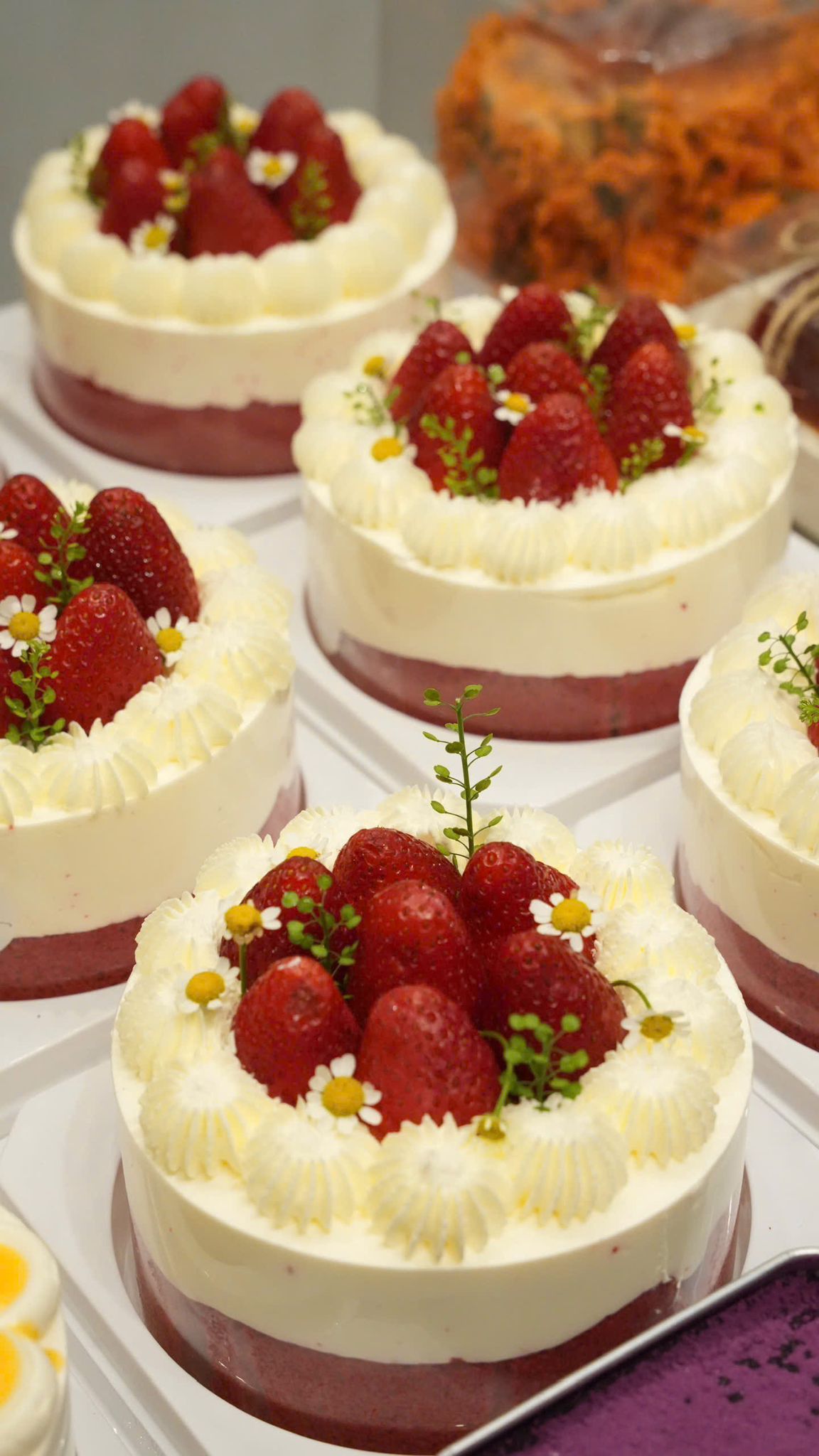 Sweetie Zone creation